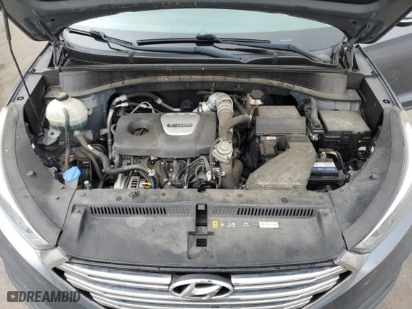 2017 Hyundai Tucson Value with VIN KM8J33A22HU367754, listed as a Copart auction lot 42009495 with 55,477 mi miles and Salvage Title. Bid and sale history available at carsss.com. Image 12.