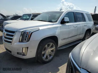 2017 Cadillac Escalade Luxury with VIN 1GYS4BKJ2HR153107, listed as a Copart auction lot 76564944 with 0 mi miles and Salvage Title. Bid and sale history available at carsss.com. Image 1.