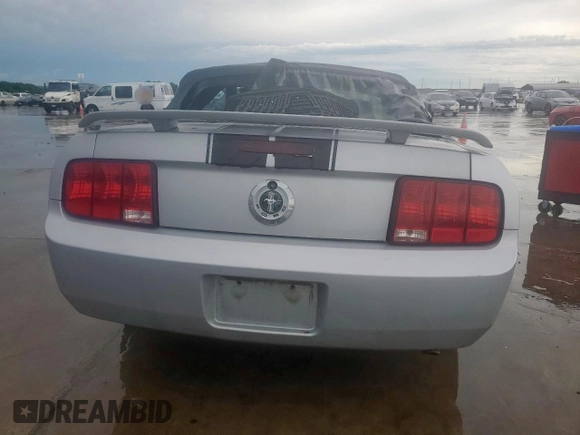 2006 Ford Mustang Standard with VIN 1ZVFT84N265254517, listed as a Copart auction lot 54133895 with 144,151 mi miles and Clean Title. Bid and sale history available at carsss.com. Image 8.