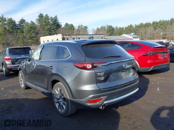 2017 Mazda CX-9 Grand Touring with VIN JM3TCBDY1H0141100, listed as a IAAI auction lot 41054513 with 65,607 mi miles. Bid and sale history available at carsss.com. Image 3.
