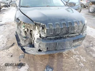2017 Jeep Cherokee Altitude with VIN 1C4PJLAB1HW644077, listed as a IAAI auction lot 41643091 with 120,738 mi miles and . Bid and sale history available at DreamBid. Image 6.