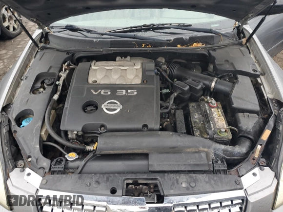 2007 Nissan Maxima 3.5 SE with VIN 1N4BA41E47C820572, listed as a Copart auction lot 72923084 with 202,750 mi miles and Salvage Title. Bid and sale history available at carsss.com. Image 11.