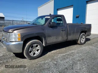 2012 Chevrolet Silverado 1500 Work Truck with VIN 1GCNKPEA4CZ226438, listed as a Copart auction lot 48886105 with 381,766 mi miles and Non Repairable. Bid and sale history available at DreamBid. Image 1.