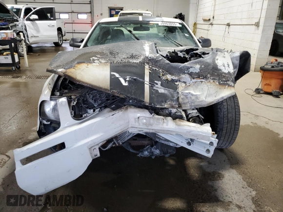 2007 Ford Mustang Deluxe with VIN 1ZVHT80NX75328511, listed as a Copart auction lot 59463055 with Not provided miles and Salvage title. Bid and sale history available at DreamBid. Image 5.