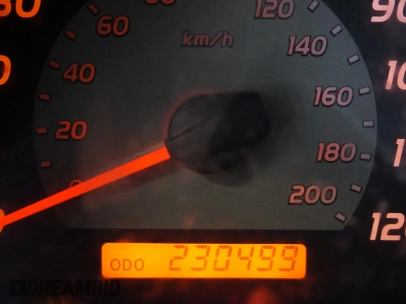 2009 Toyota Tacoma with VIN 5TEUU42N69Z642032, listed as a Copart auction lot 43113315 with 230,499 mi miles and Salvage Title. Bid and sale history available at carsss.com. Image 8.