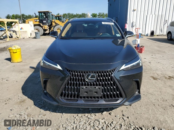 2022 Lexus NX with VIN 2T2AGCEZ9NC013069, listed as a Copart auction lot 60156404 with 16,915 mi miles and Salvage Title. Bid and sale history available at carsss.com. Image 5.