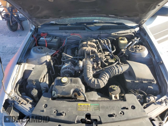 2006 Ford Mustang Standard with VIN 1ZVFT84N965262467, listed as a Copart auction lot 49697655 with 171,122 mi miles and Salvage Title. Bid and sale history available at carsss.com. Image 12.