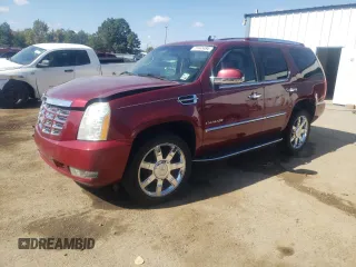 2010 Cadillac Escalade Luxury z VIN 1GYUCBEF1AR154628, wystawiony jako Copart lot #77442484 z przebiegiem 177 722 mil mil oraz Szkoda całkowita • Salvage title. Historia ofert i sprzedaży dostępna na DreamBid. Obrazek 1.