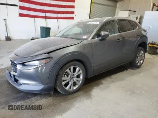 2020 Mazda CX-30 Premium with VIN 3MVDMBEM9LM136348, listed as a Copart auction lot 55018785 with 219,039 mi miles and Salvage title. Bid and sale history available at DreamBid. Image 1.