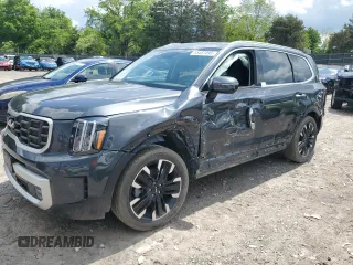 2023 Kia Telluride SX с VIN 5XYP5DGC2PG350290, выставлен на аукционе Copart как лот 55457495 с пробегом 45 330 миль миль и Списание • Salvage title. История ставок и продаж доступна на DreamBid. Изображение 1.