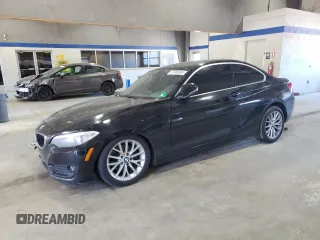 2014 BMW 2 Series 228i with VIN WBA1F5C52EVV99367, listed as a Copart auction lot 57465805 with 113,208 mi miles and Salvage title. Bid and sale history available at DreamBid. Image 1.