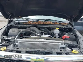 2021 Ram 1500 Tradesman with VIN 3C6JR7DT4MG704279, listed as a IAAI auction lot 42212201 with 21,528 mi miles and . Bid and sale history available at DreamBid. Image 10.