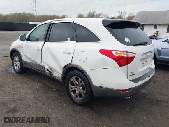 2007 Hyundai Veracruz GLS with VIN KM8NU73C57U010983, listed as a IAAI auction lot 41912443 with 192,218 mi miles and . Bid and sale history available at DreamBid. Image 3.