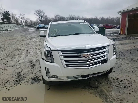 2019 Cadillac Escalade Platinum with VIN 1GYS4DKJ6KR190325, listed as a Copart auction lot 46268115 with 73,725 mi miles and Salvage Title. Bid and sale history available at carsss.com. Image 14.