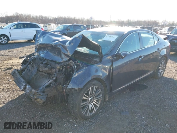 2015 Kia Cadenza Premium with VIN KNALN4D73F5194464, listed as a IAAI auction lot 41036049 with 164,907 mi miles. Bid and sale history available at carsss.com. Image 6.
