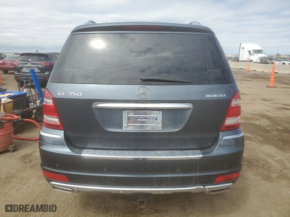 2010 Mercedes-Benz GL-Class GL 350 BlueTEC with VIN 4JGBF2FE5AA538738, listed as a Copart auction lot 53098015 with 162,321 mi miles and Clean Title. Bid and sale history available at carsss.com. Image 6.