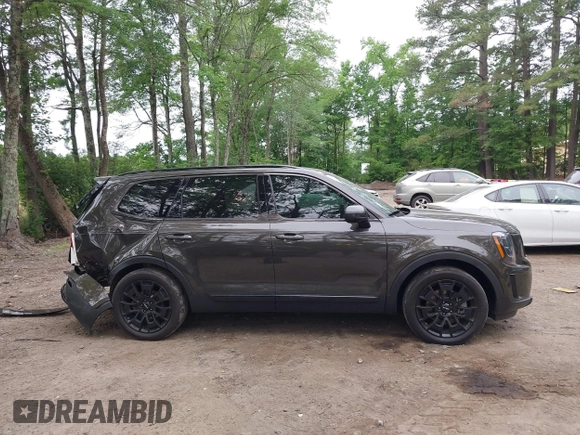2022 Kia Telluride EX z VIN 5XYP3DHC6NG304172, wystawiony jako IAAI lot #42377593 z przebiegiem 46 013 mil mil oraz . Historia ofert i sprzedaży dostępna na DreamBid. Obrazek 14.