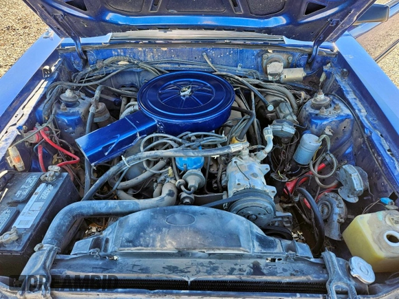 1980 Ford Mustang с VIN AL02BK25608, выставлен на аукционе Copart как лот 64603285 с пробегом 73 544 миль миль и Чистый • Clean title. История ставок и продаж доступна на DreamBid. Изображение 7.