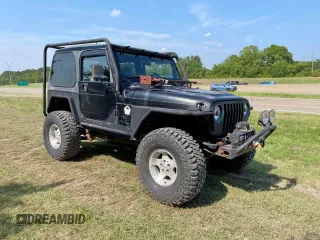 1999 Jeep Wrangler Sahara with VIN 1J4FY49S5XP496486, listed as a Copart auction lot 54989365 with 128,498 mi miles and Clean Title. Bid and sale history available at carsss.com. Image 1.