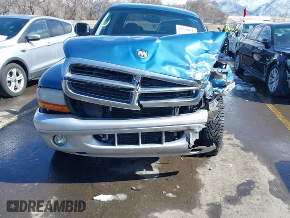 2003 Dodge Dakota SLT with VIN 1D7HL48N73S333828, listed as a IAAI auction lot 41748642 with 163,258 mi miles. Bid and sale history available at carsss.com. Image 6.