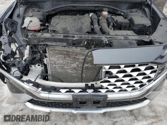 2022 Hyundai Santa Fe Limited with VIN 5NMS4DAL8NH456185, listed as a Copart auction lot 48406205 with 39,580 mi miles and Salvage Title. Bid and sale history available at carsss.com. Image 12.