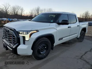 2024 Toyota Tundra 1794 Edition with VIN 5TFMA5DB4RX229874, listed as a Copart auction lot 41369945 with 6,835 mi miles and Salvage title. Bid and sale history available at DreamBid. Image 1.