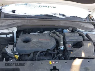 2020 Hyundai Santa Fe Limited with VIN 5NMS5CAA1LH261760, listed as a IAAI auction lot 41293649 with 119,153 mi miles. Bid and sale history available at carsss.com. Image 10.