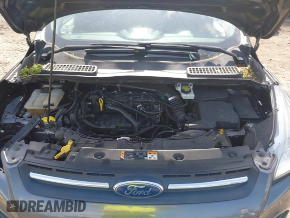 2016 Ford Escape SE с VIN 1FMCU9GX6GUB27794, выставлен на аукционе IAAI как лот 42292204 с пробегом 186 434 миль миль и . История ставок и продаж доступна на DreamBid. Изображение 10.