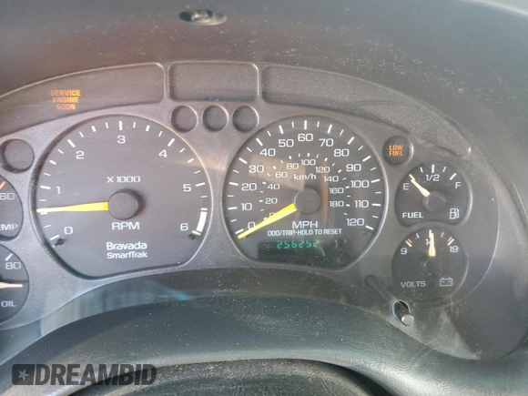 2000 Oldsmobile Bravada z VIN 1GHDT13W8Y2333619, wystawiony jako Copart lot #49631575 z przebiegiem 256 252 mil mil oraz Szkoda całkowita • Salvage title. Historia ofert i sprzedaży dostępna na DreamBid. Obrazek 9.