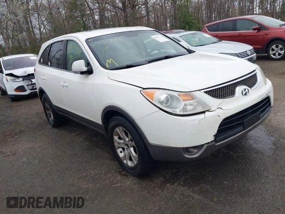2007 Hyundai Veracruz GLS with VIN KM8NU73C57U010983, listed as a IAAI auction lot 41912443 with 192,218 mi miles and . Bid and sale history available at DreamBid. Image 1.
