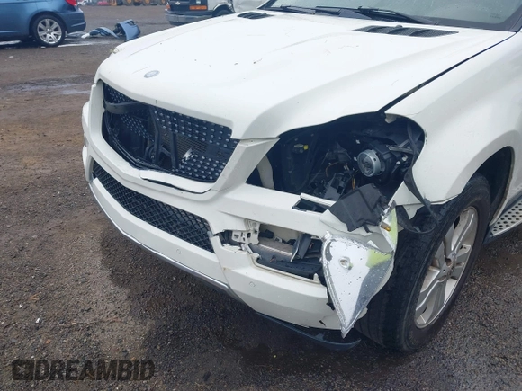 2011 Mercedes-Benz GL-Class GL 450 with VIN 4JGBF7BE0BA730685, listed as a IAAI auction lot 42029019 with 142,190 mi miles. Bid and sale history available at carsss.com. Image 6.