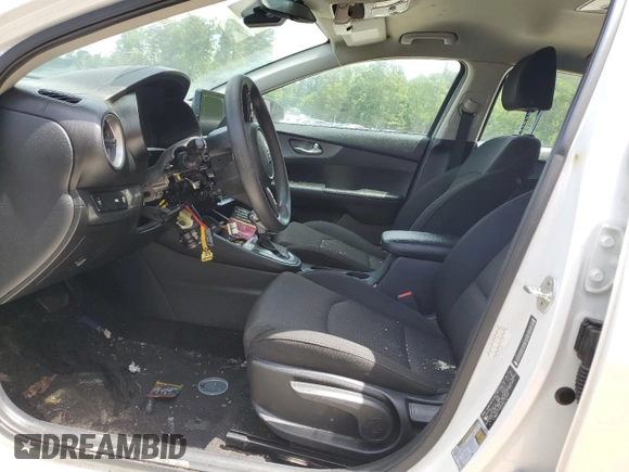 2019 Kia Forte LXS z VIN 3KPF24AD0KE131906, wystawiony jako Copart lot #58037235 z przebiegiem 84 527 mil mil oraz Szkoda całkowita • Salvage title. Historia ofert i sprzedaży dostępna na DreamBid. Obrazek 7.