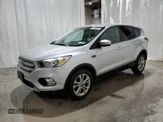 2019 Ford Escape SE with VIN 1FMCU0GD0KUB31057, listed as a Copart auction lot 50521255 with 109,507 mi miles and Clean Title. Bid and sale history available at carsss.com. Image 1.