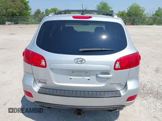 2009 Hyundai Santa Fe SE with VIN 5NMSH73E69H233055, listed as a IAAI auction lot 42454100 with 209,036 mi miles and . Bid and sale history available at DreamBid. Image 17.