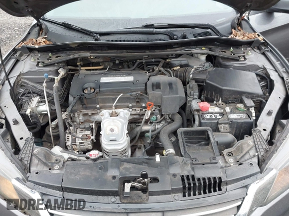2013 Honda Accord Sdn EX-L with VIN 1HGCR2F87DA282201, listed as a IAAI auction lot 41556072 with 215,119 mi miles. Bid and sale history available at carsss.com. Image 10.