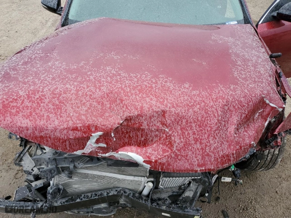 2019 Kia Optima SX with VIN 5XXGW4L2XKG301359, listed as a Copart auction lot 83535634 with 35,732 mi miles and Salvage Title. Bid and sale history available at carsss.com. Image 11.
