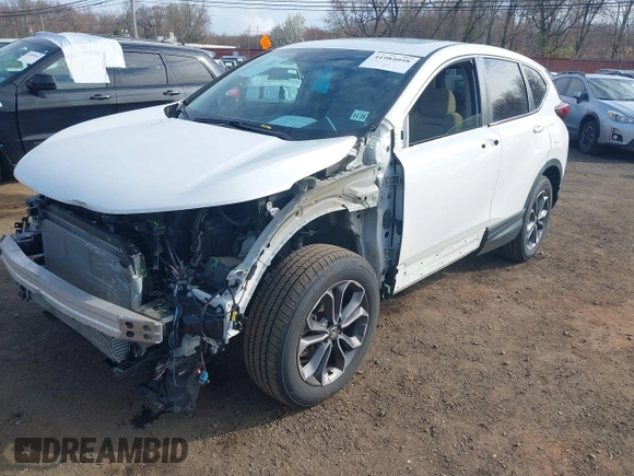 2020 Honda CR-V EX with VIN 2HKRW2H50LH687568, listed as a IAAI auction lot 41984058 with 36,597 mi miles and . Bid and sale history available at DreamBid. Image 6.