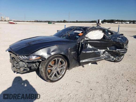 2019 Ford Mustang GT with VIN 1FA6P8CF2K5120723, listed as a Copart auction lot 87422134 with Not provided miles and Salvage title. Bid and sale history available at DreamBid. Image 1.