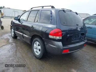 2005 Hyundai Santa Fe GLS with VIN KM8SC73D45U943575, listed as a IAAI auction lot 41676922 with 265,333 mi miles. Bid and sale history available at carsss.com. Image 3.