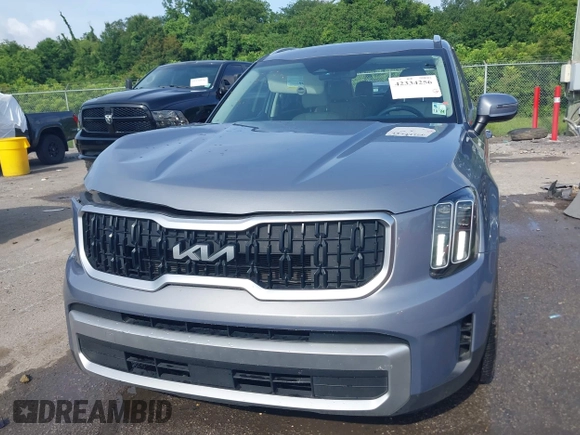 2023 Kia Telluride EX с VIN 5XYP34GC6PG382858, выставлен на аукционе IAAI как лот 42334256 с пробегом 48 684 миль миль и . История ставок и продаж доступна на DreamBid. Изображение 13.