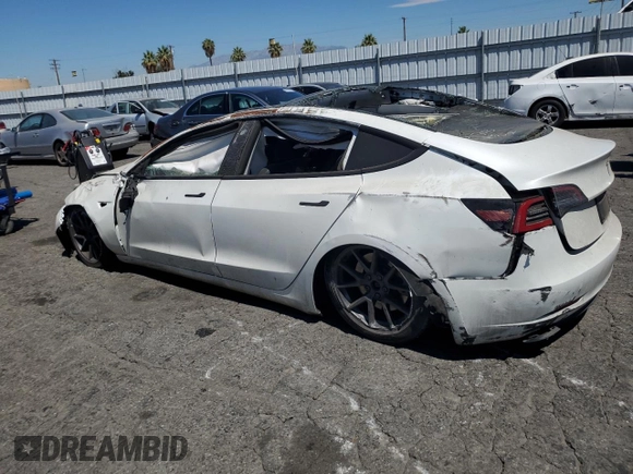 2023 Tesla Model 3 with VIN 5YJ3E1EA0PF491347, listed as a Copart auction lot 64136235 with Not provided miles and Clean title. Bid and sale history available at DreamBid. Image 2.