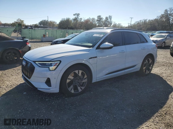 2022 Audi e-tron Premium with VIN WA1AAAGE1NB019221, listed as a Copart auction lot 41872005 with 47,890 mi miles and Salvage Title. Bid and sale history available at DreamBid. Image 1.