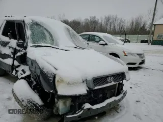 2004 Hyundai Santa Fe GLS with VIN KM8SC73E94U780607, listed as a Copart auction lot 84729644 with 0 mi miles and Salvage Title. Bid and sale history available at carsss.com. Image 10.