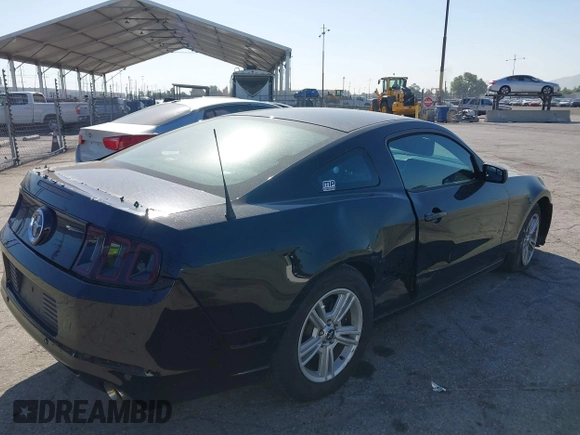 2014 Ford Mustang V6 z VIN 1ZVBP8AM5E5304212, wystawiony jako IAAI lot #42349481 z przebiegiem 18 478 mil mil oraz . Historia ofert i sprzedaży dostępna na DreamBid. Obrazek 4.