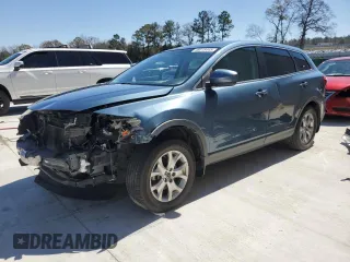 2014 Mazda CX-9 Touring with VIN JM3TB2CA9E0437923, listed as a Copart auction lot 49315445 with 162,092 mi miles and Salvage Title. Bid and sale history available at carsss.com. Image 1.