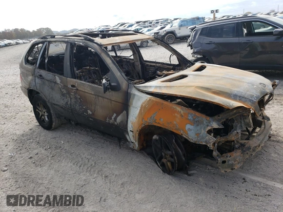 2006 BMW X5 3.0i with VIN 5UXFA13516LY32201, listed as a Copart auction lot 79760984 with 0 mi miles and Salvage Title. Bid and sale history available at carsss.com. Image 4.