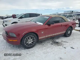 2009 Ford Mustang with VIN 1ZVHT84N795110734, listed as a Copart auction lot 42554555 with 202,149 mi miles and Clean title. Bid and sale history available at DreamBid. Image 1.