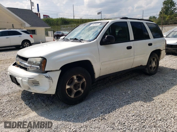 2006 Chevrolet TrailBlazer LS with VIN 1GNDT13S362357608, listed as a Copart auction lot 68828434 with 173,608 mi miles and Salvage Title. Bid and sale history available at DreamBid. Image 1.