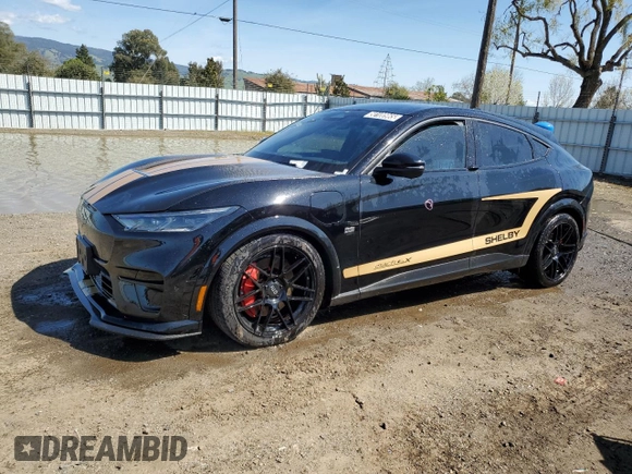 2023 Ford Mustang Mach-E GT with VIN 3FMTK4SE8PMA75216, listed as a Copart auction lot 50100965 with Not Provided miles and Clean Title. Bid and sale history available at DreamBid. Image 1.