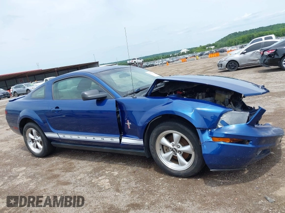 2008 Ford Mustang Deluxe with VIN 1ZVHT80NX85120503, listed as a IAAI auction lot 42530285 with 171,570 mi miles and . Bid and sale history available at DreamBid. Image 14.